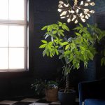 La Energía de tu Hogar ¡Aquí te Enseñamos a Activarla y Cuidarla!