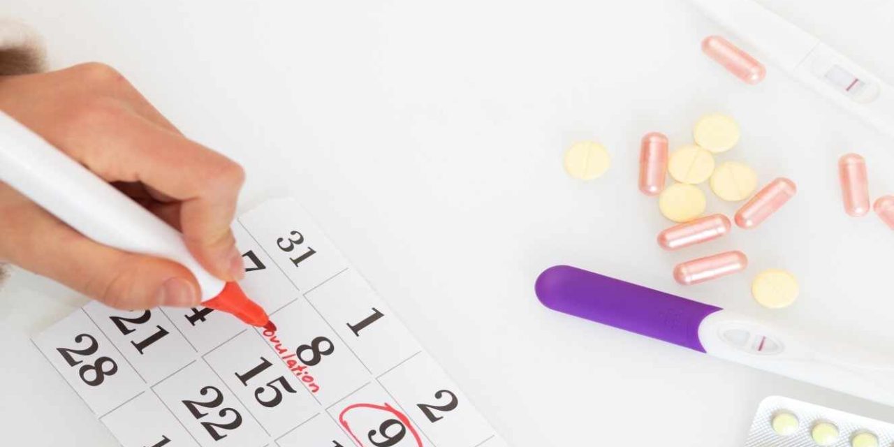 La Naturaleza como Aliada en tu Camino hacia la Fertilidad.